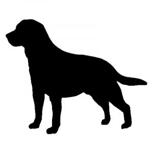 "Labrador Silhouette" Sticker (15.5*12.7CM)