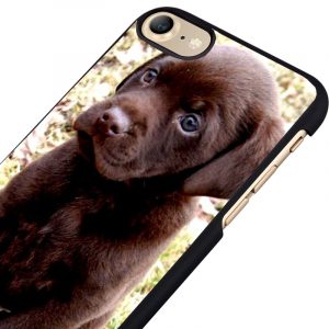 "Brown Labrador Puppy" Phone Case For iPhone & iPod