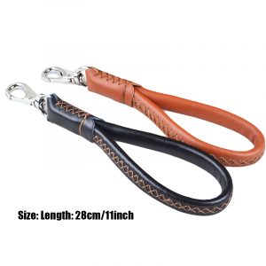 "One Step" Leather Leash