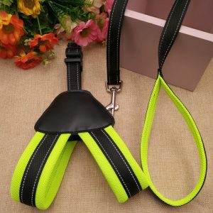 "Nylon Labrador" Leash